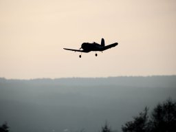 fliegen0803 31